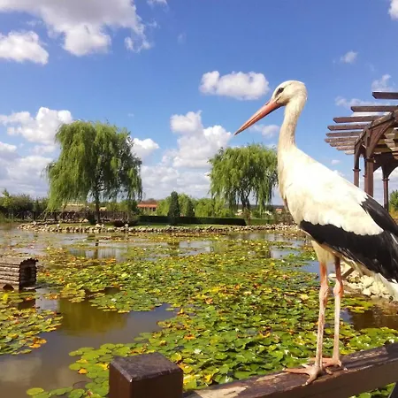 вяра, надежда, любов * Neofit Rilski